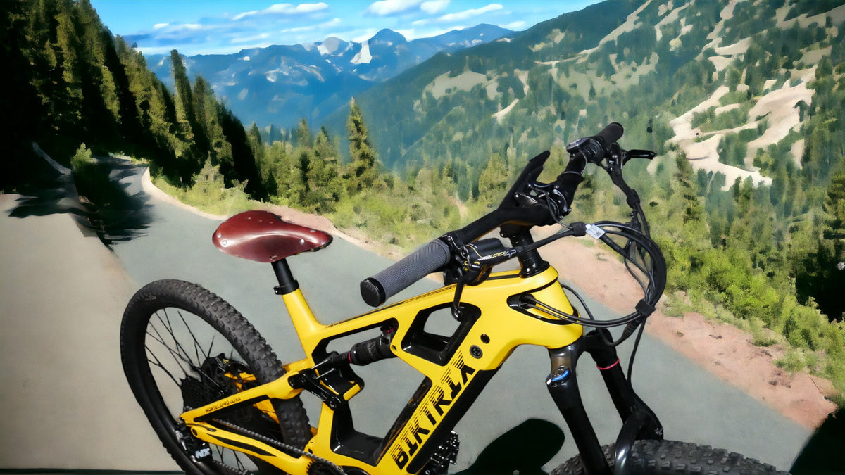 Retro Leather Saddle