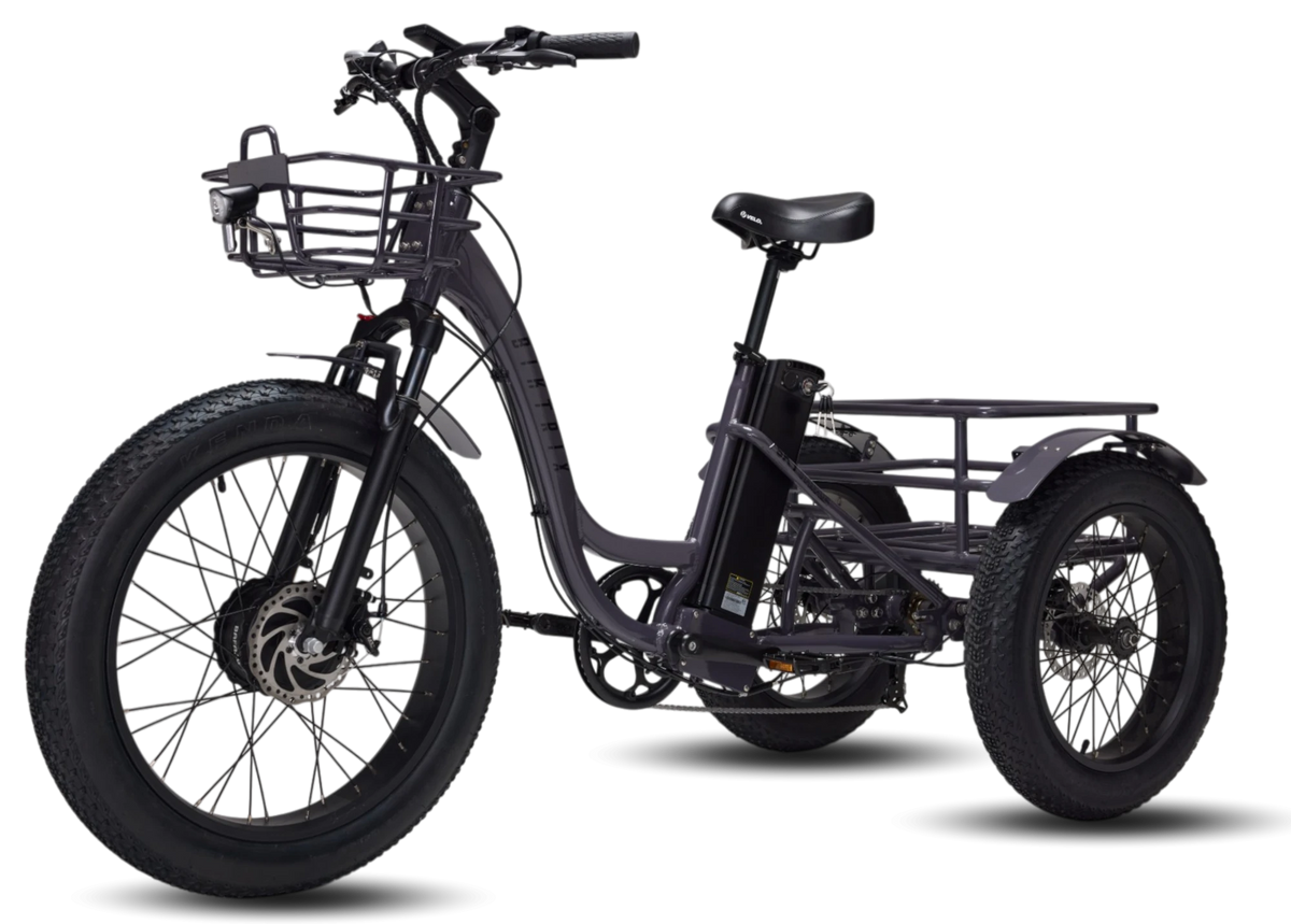 Biktrix SkyTrike