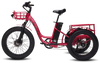Biktrix SkyTrike