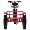 Biktrix SkyTrike