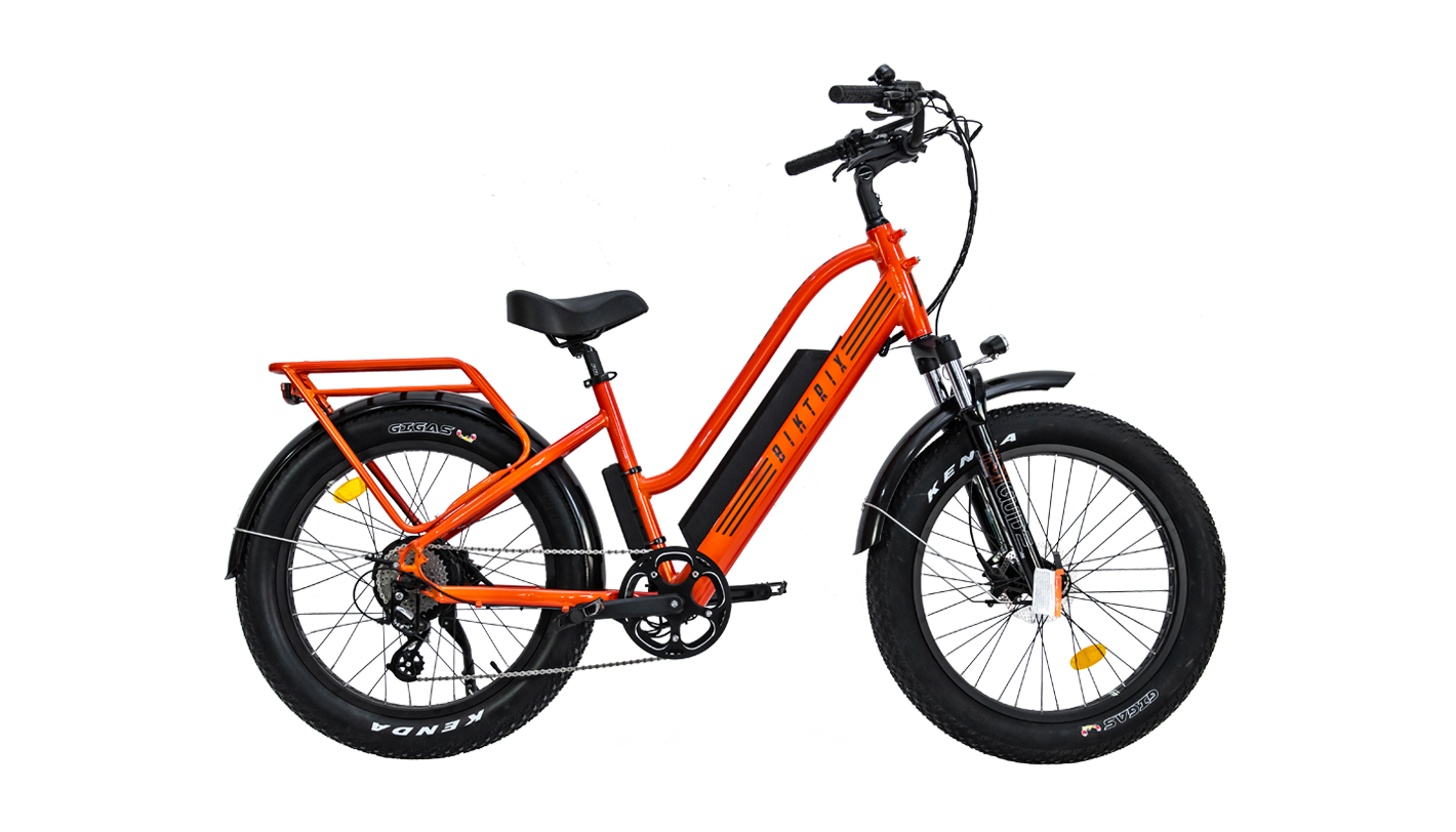 Biktrix stunner best sale