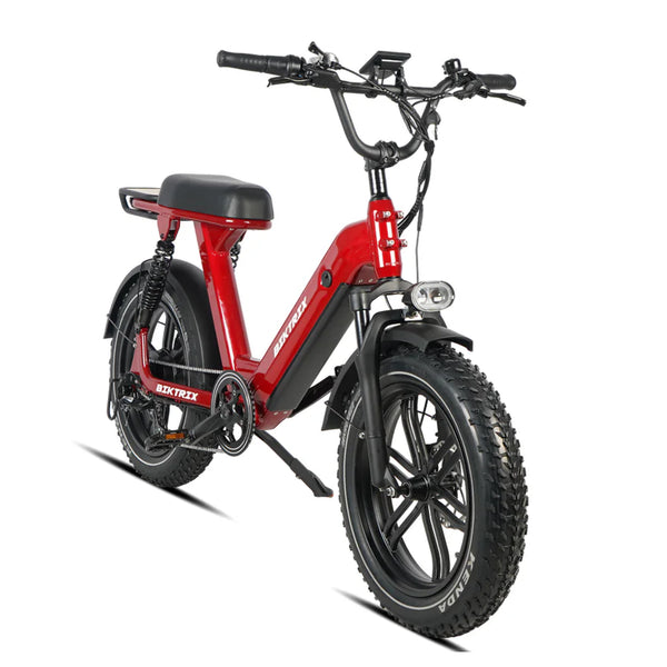 5 Best Budget Electric Bikes in 2024 Biktrix