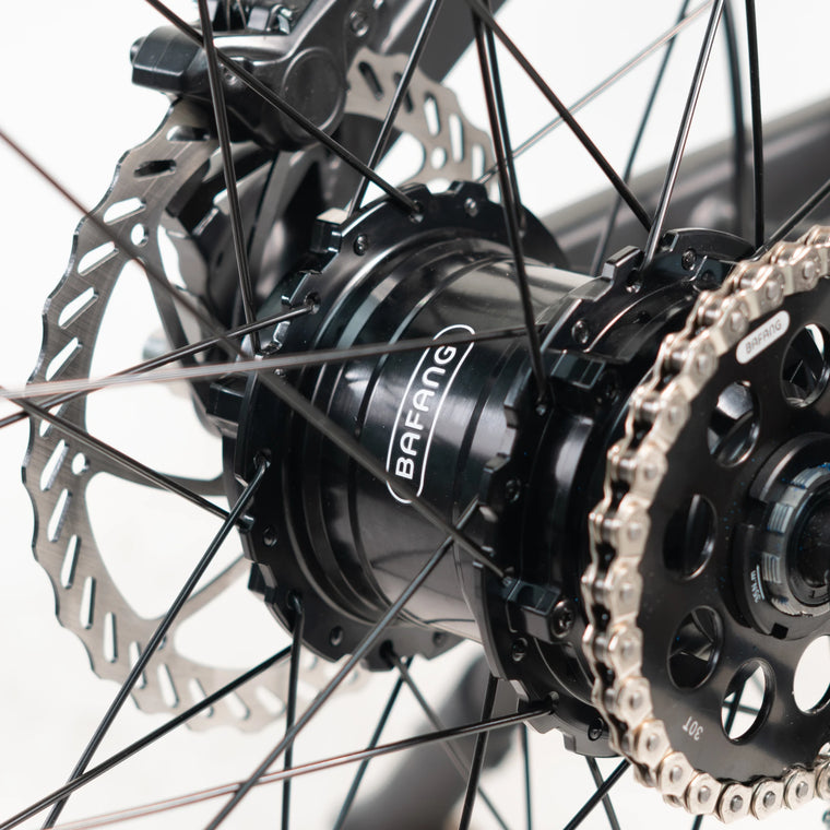 A510 hub sprocket with Shimano Alfine chain tensioner, no derailleur or cassette