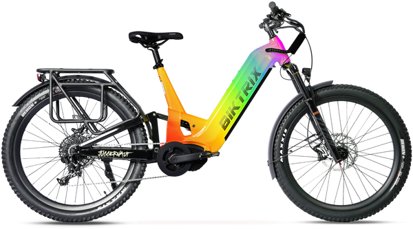 Custom Color Bike