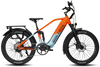 RogueHawk FS Step-Over 2 | 70V