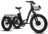 Biktrix SkyTrike