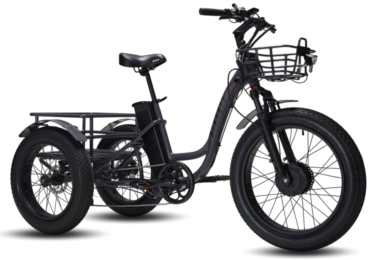 Biktrix SkyTrike