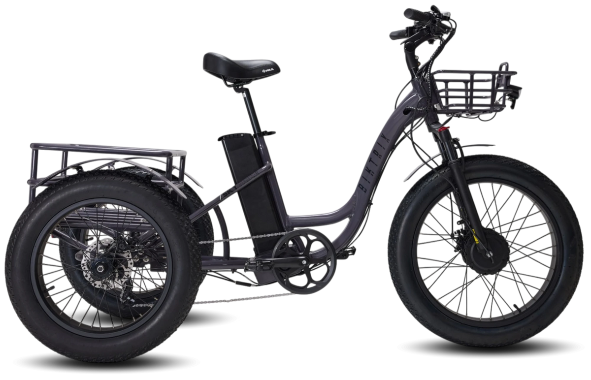 Biktrix SkyTrike