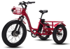 Biktrix SkyTrike