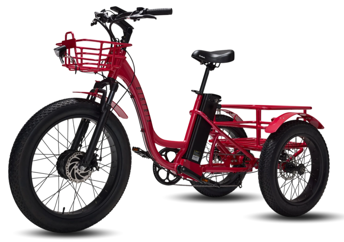 Biktrix SkyTrike