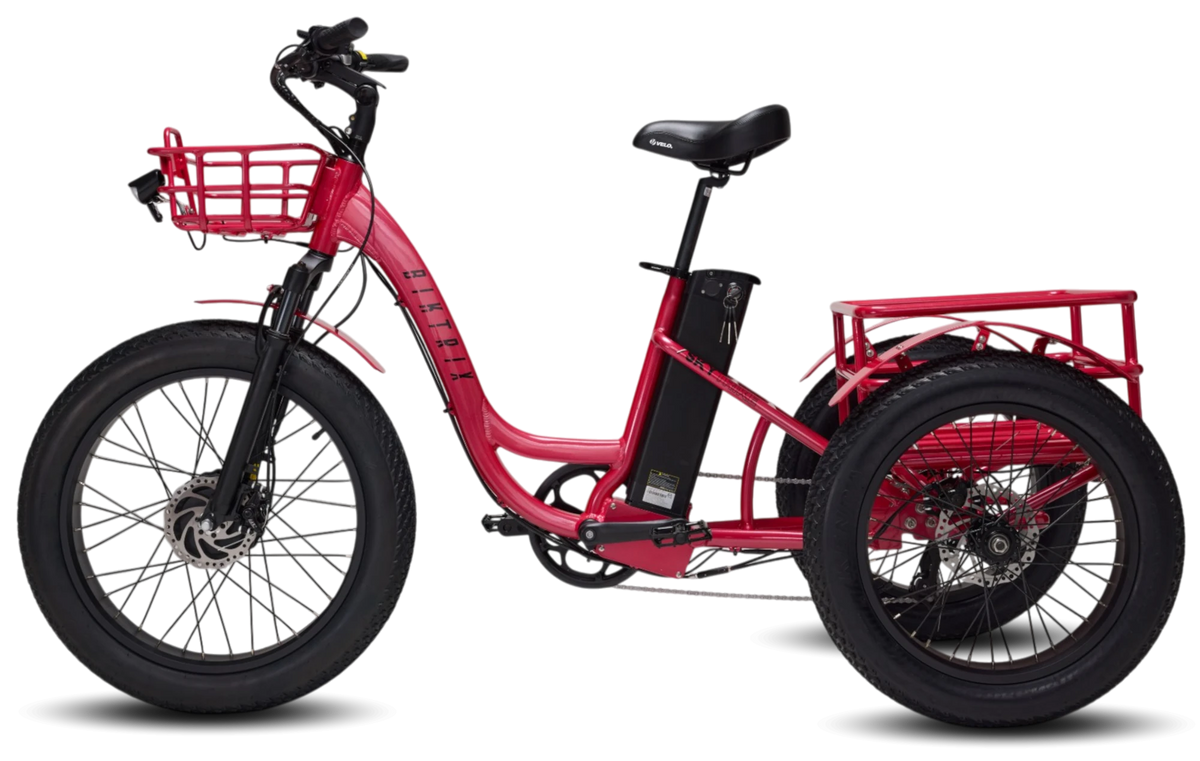 Biktrix SkyTrike