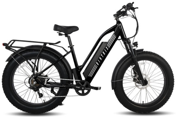 Stunner LT Lite