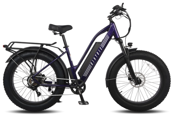 Stunner LT Lite
