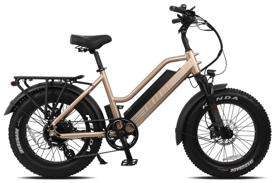 Biktrix Stunner LT 8 eBike