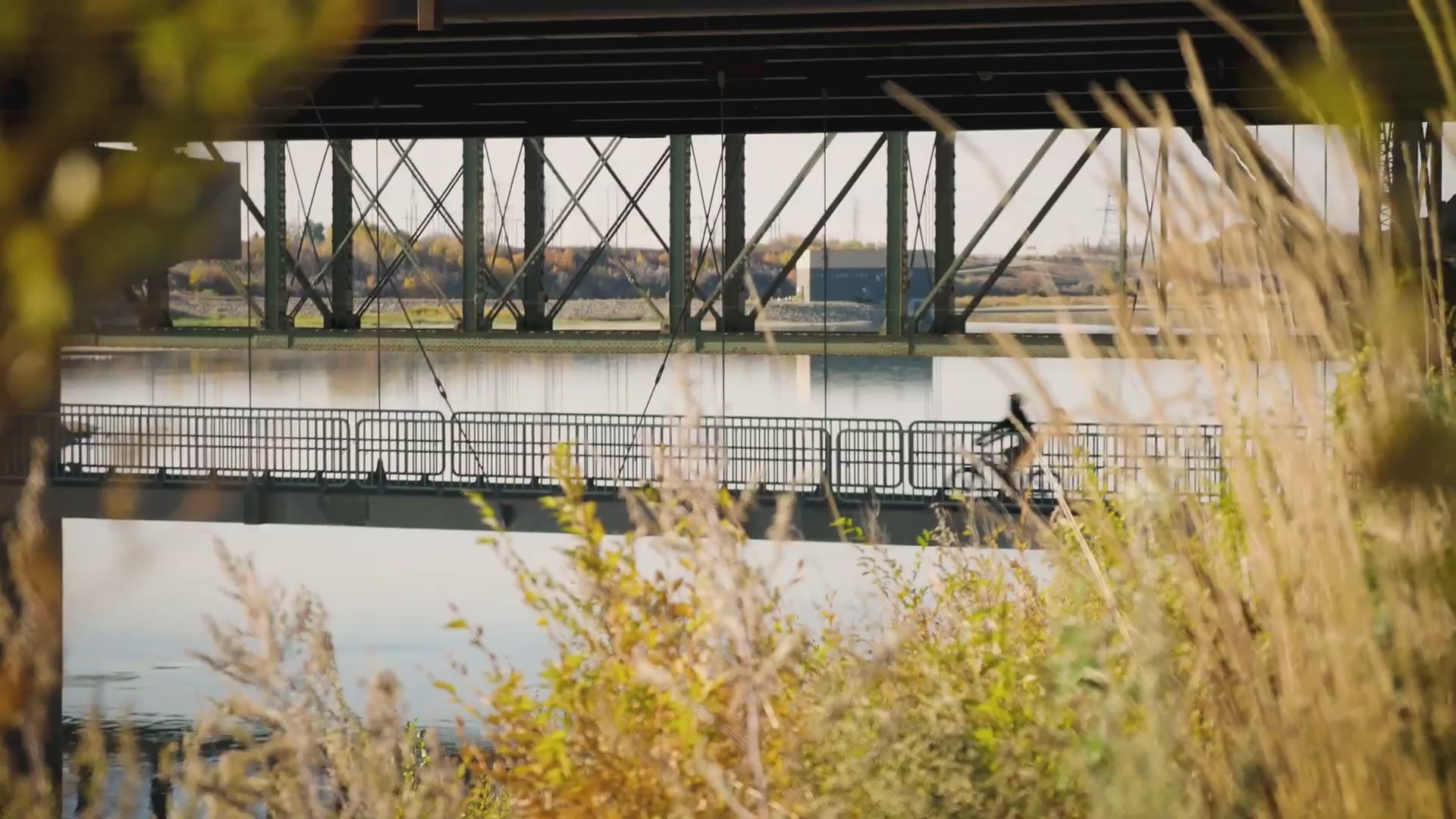 Ebikes Online: Fast Shipping Electric Bikes Designed in Canada