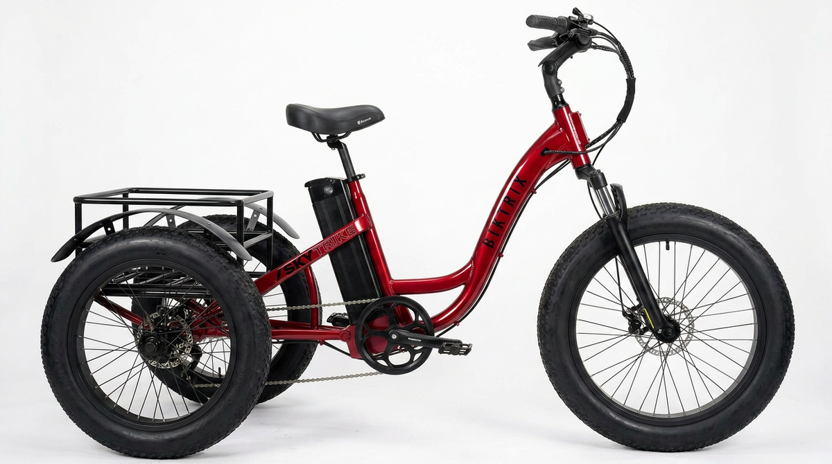 Biktrix SkyTrike