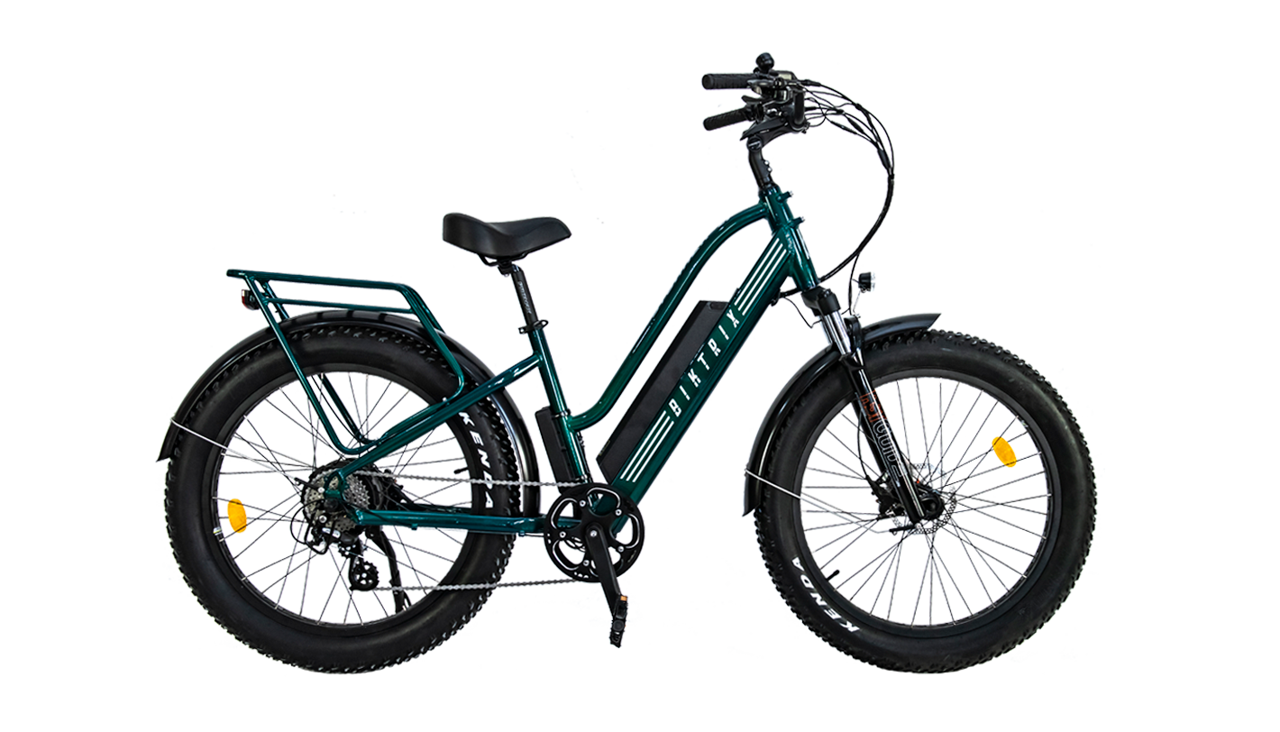 Biktrix stunner best sale