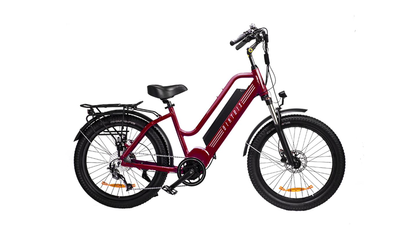 Biktrix stunner shop x review